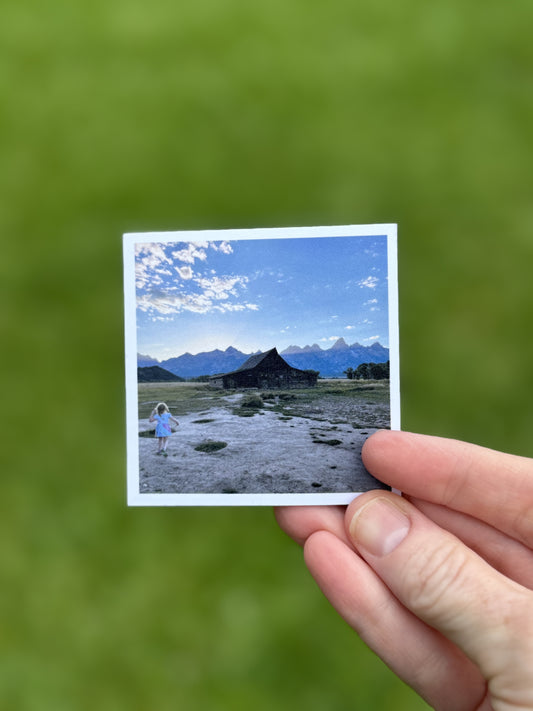 Custom Photo Magnet - Set of THREE