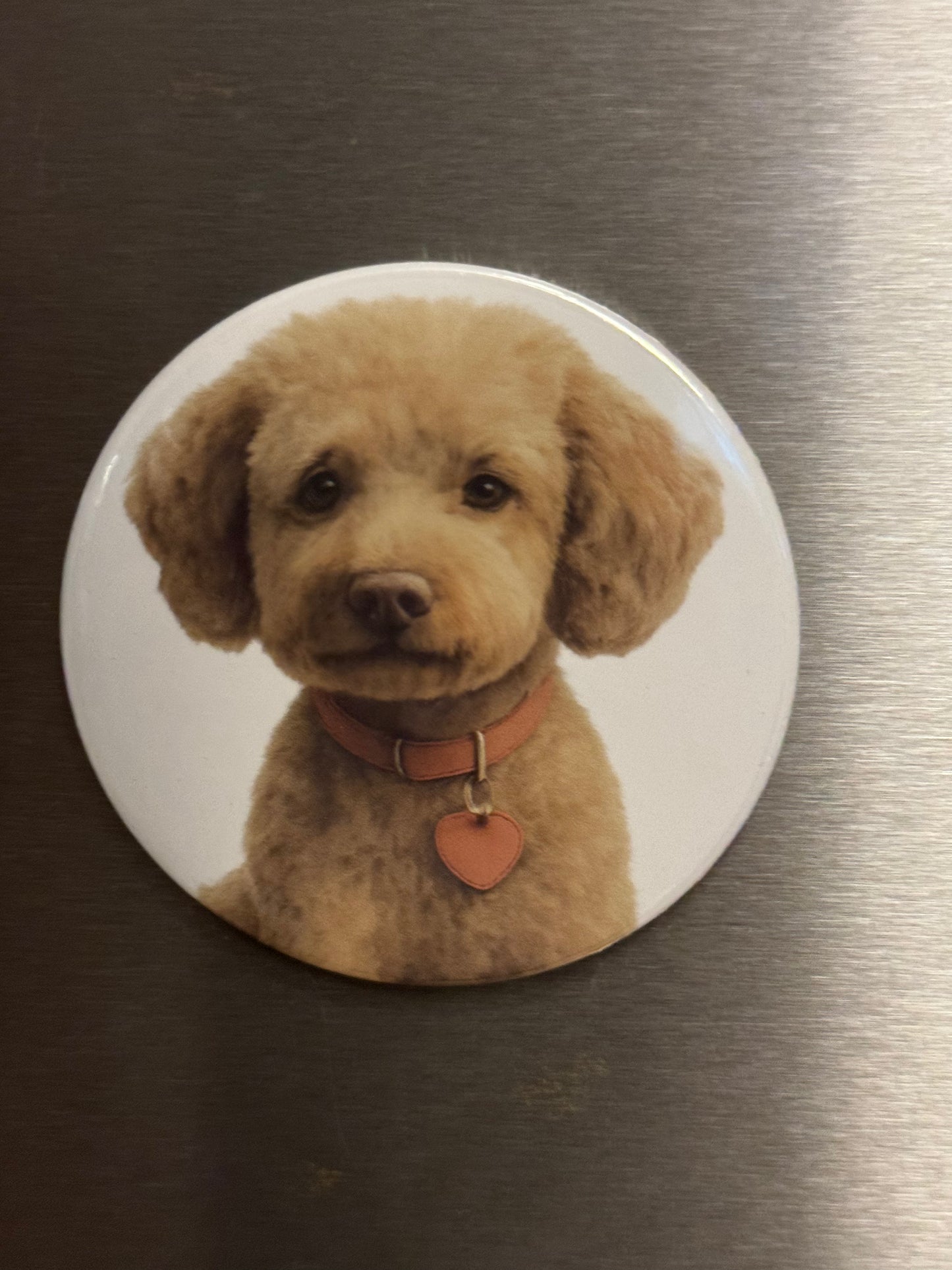 Furbaby Magnets & Buttons – Celebrate Your Pets Everywhere